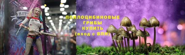 хмурый Алексеевка