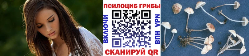 Псилоцибиновые грибы GOLDEN TEACHER  Ставрополь 